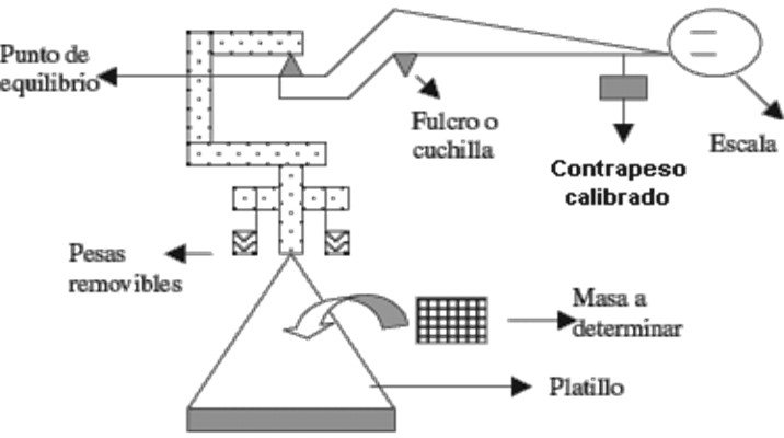 Estructura y Soporte de la Balanza