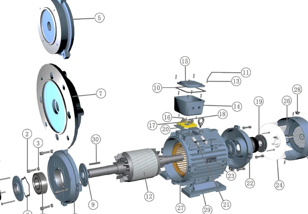 Motor Eléctrico