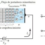 Polarización Directa e Inversa de un Diodo: Conceptos y Aplicaciones