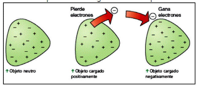 Cuerpo Neutro: ¿Qué es y Cuáles son sus Aplicaciones?